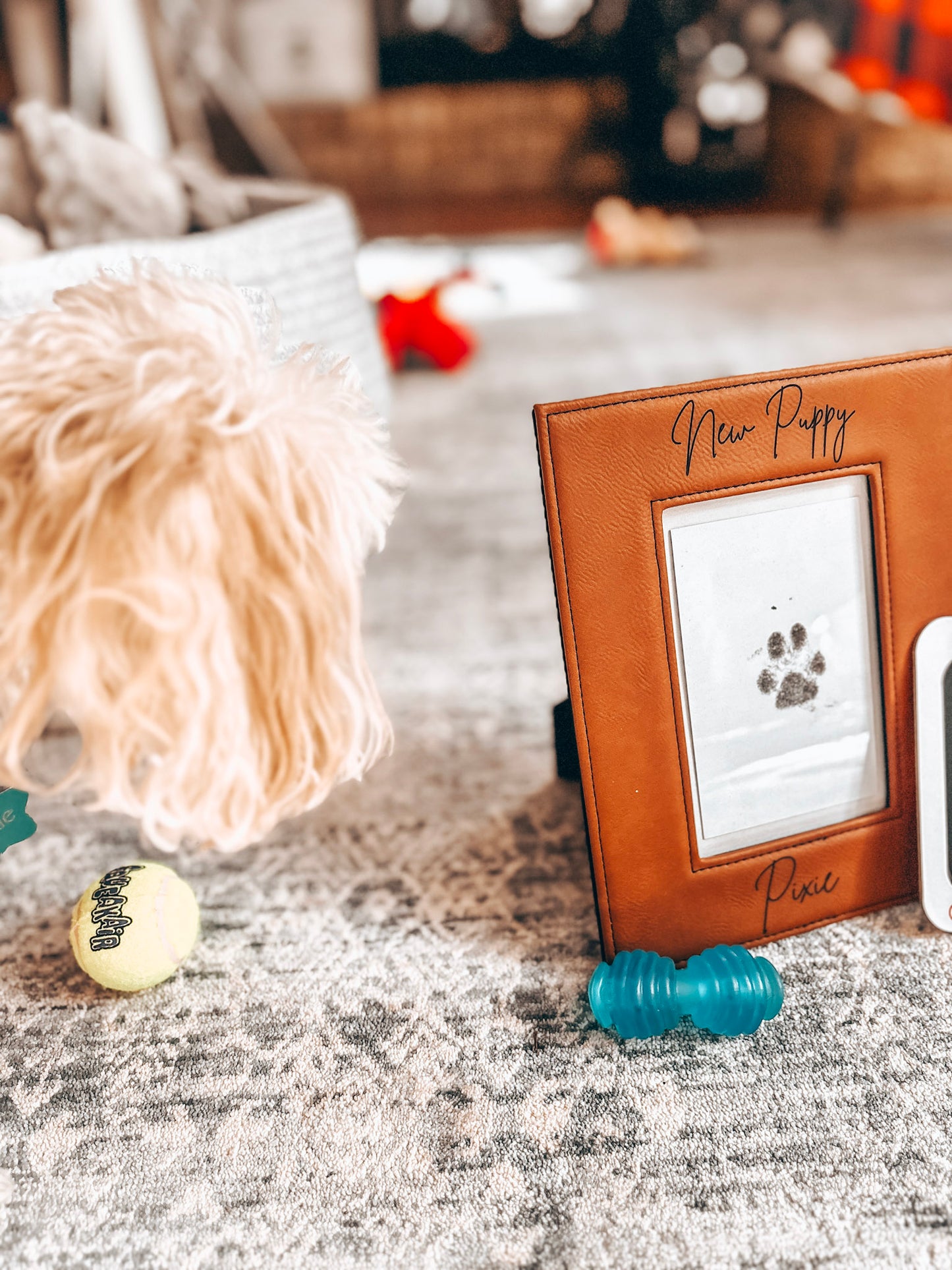 🐾 Custom New Puppy or Memorial Frame & Stamp Kit| Cooper & Co. Keepsake Collection