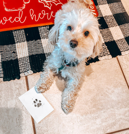 🐾 Custom New Puppy or Memorial Frame & Stamp Kit| Cooper & Co. Keepsake Collection