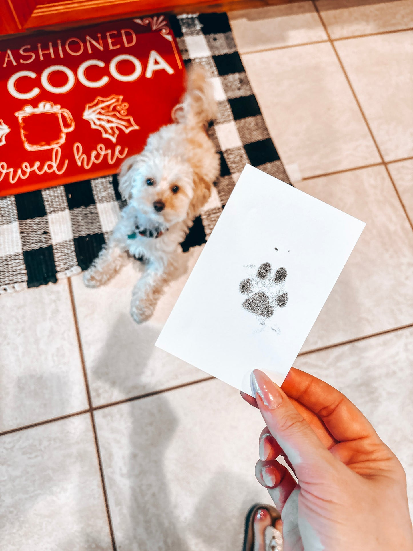 🐾 Custom New Puppy or Memorial Frame & Stamp Kit| Cooper & Co. Keepsake Collection